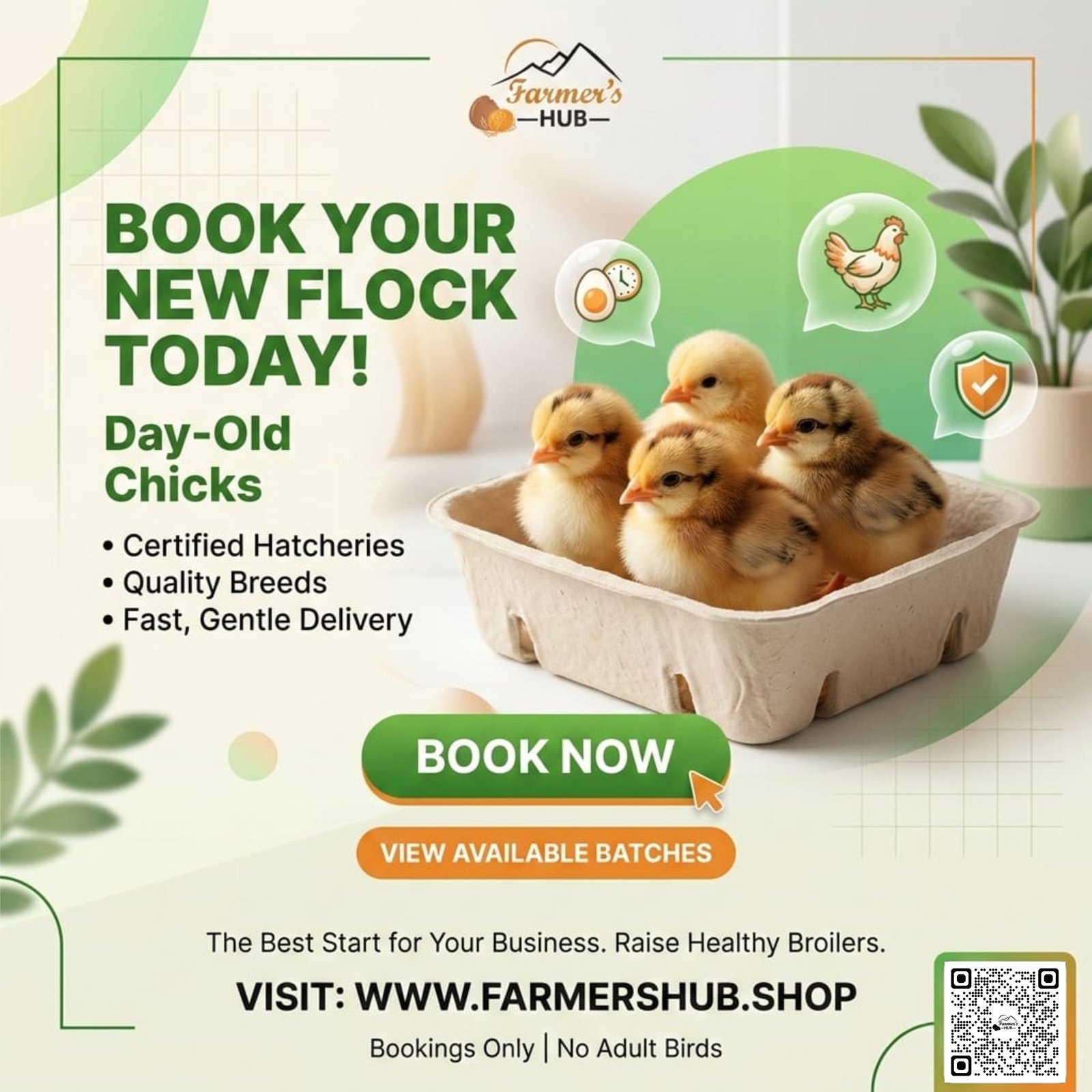 Day-Old Chicks Booking